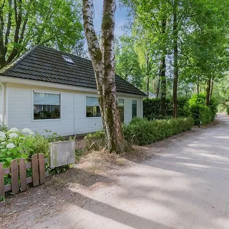 8 Pers Vakantiehuis Met Natuur- Sauna En Bubbelbad Diessen Exterior photo